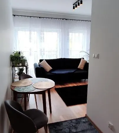 Apartament Stylowy Nr 9 * Πόζναν